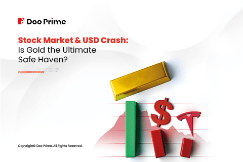 usd crash cover