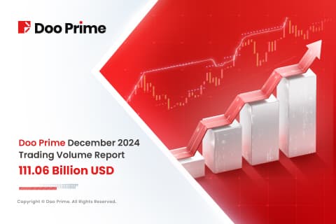 Doo Prime December 2024 Trading Volume Report